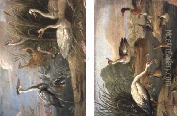 Birds On Riverbanks Oil Painting - Jan van Kessel the Elder
