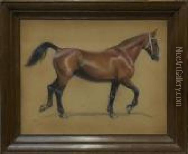 Bay Horse Oil Painting - Cecil Charles Aldin