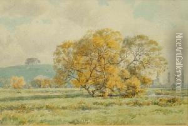 Wittenham Clumps Oil Painting - Bernard Cecil Gotch