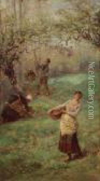 Picking Cider Apples Normandy Oil Painting - William John Hennessy