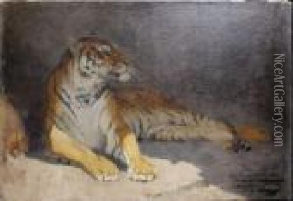 Tigre Couche Oil Painting - Gustave Surand