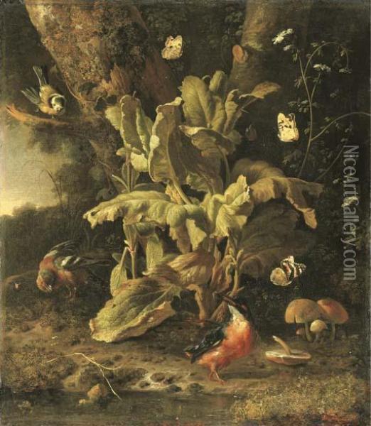 A Forest Floor Still Life With A
 Blue Tit, A Chaffinch, A Kingfisher, A Large Tortoiseshell Butterfly, A
 Painted Lady And A Red Admiral. Oil Painting - Melchior de Hondecoeter