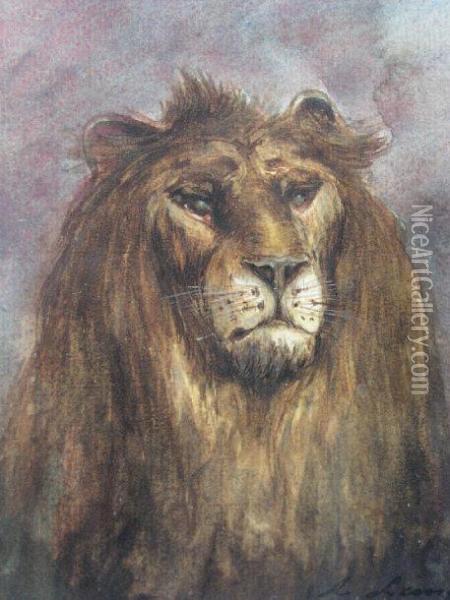 Tete De Lion Oil Painting - Auguste Andre Lancon