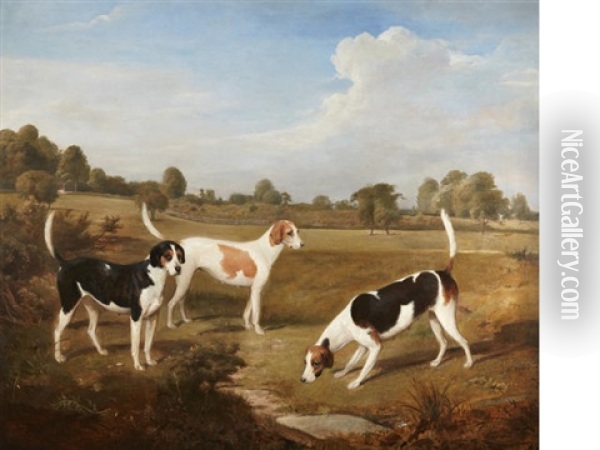 Three English Foxhounds In A Landscape Oil Painting - Henry A. Hawkins