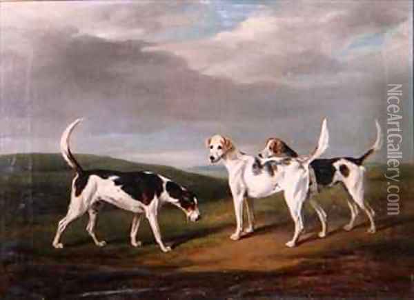 Foxhounds in a Landscape Oil Painting - William Henry Davis