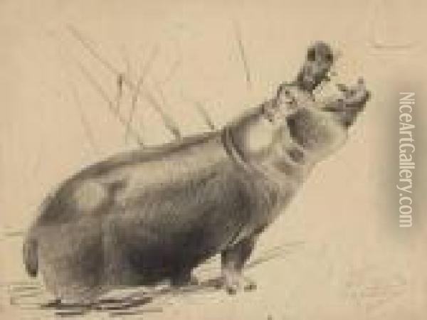 Flusspferd Mit Offenem Maul Oil Painting - Wilhelm Kuhnert