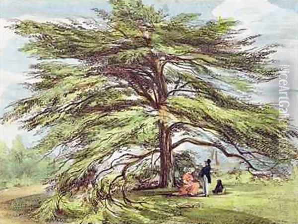 The Lebanon Cedar Tree in the Arboretum, Kew Gardens, plate 21 from Kew Gardens A Series of Twenty-Four Drawings on Stone, engraved by Charles Hullmandel 1789-1850 published 1820 Oil Painting - Papendiek, George Ernest