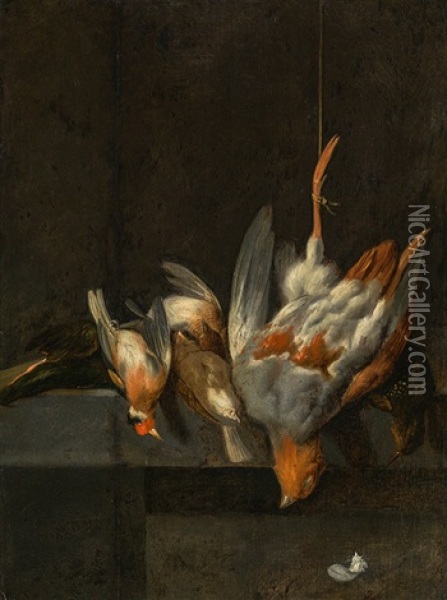 Hunting Still Life With Birds Oil Painting - Jan Vonck