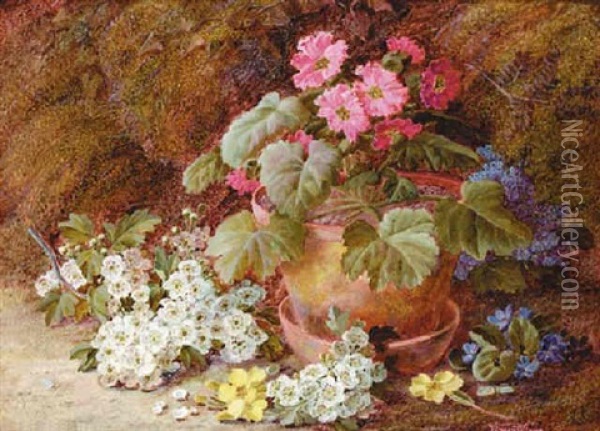 A Geranium In A Flower Pot With Primoses, May Blossom And African Violets On A Mossy Bank Oil Painting - Vincent Clare