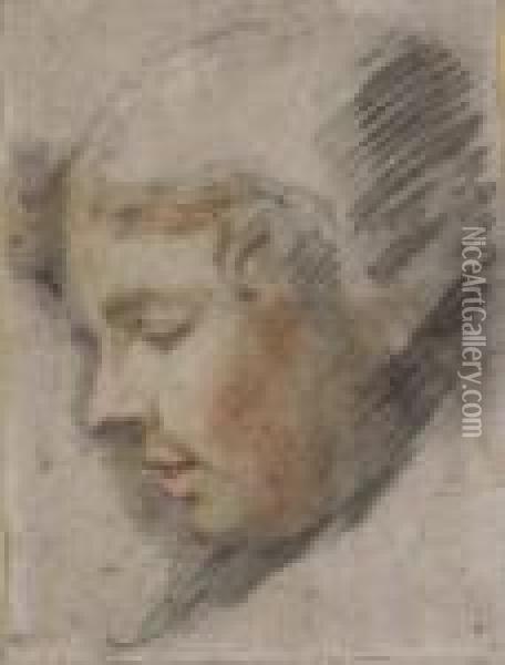 Head Of A Youth In A Black Cap, In Profile To The Left Oil Painting - Federico Fiori Barocci