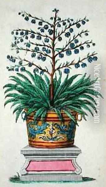 Flowering plant from Phytographia Curiosa Oil Painting - Abraham Munting