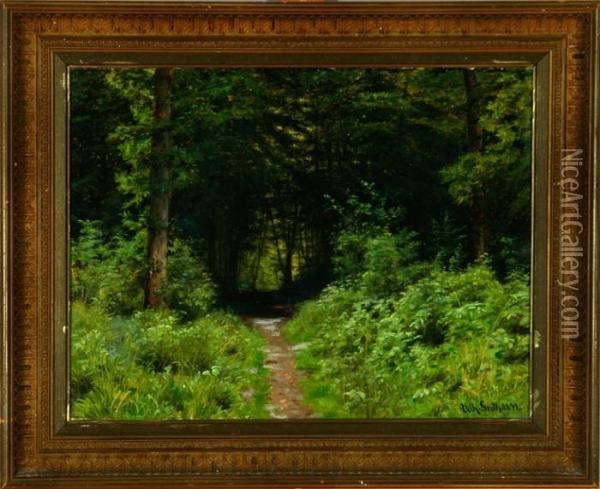 Path In Danish Beech Wood Oil Painting - Vilhelm Georg Groth