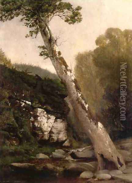 Sycamore, Catskill Clove, Below Haines Falls Oil Painting - John Williamson