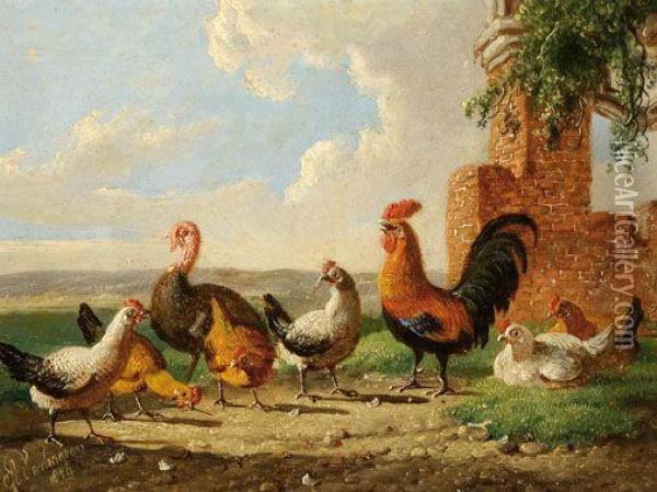 A Turkey And Further Poultry Oil Painting - Albertus Verhoesen