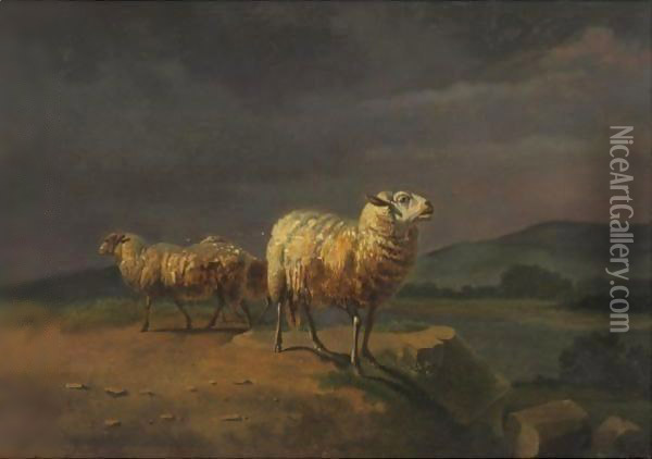 Sheep In A Landscape Oil Painting - Balthasar Paul Ommeganck