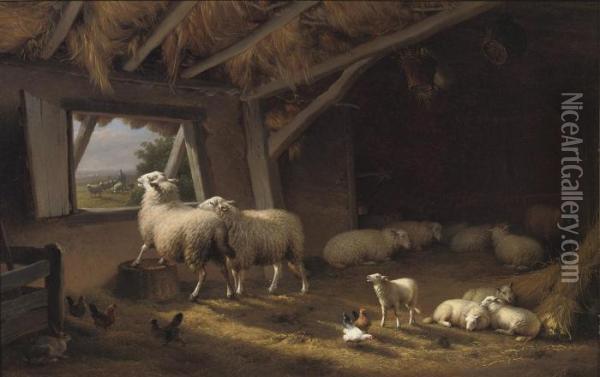 Sheep, Chickens And A Hare In A Barn Oil Painting - Eugene Joseph Verboeckhoven