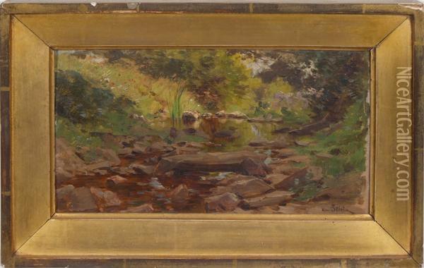 Forest Stream Oil Painting - Henri Saintin