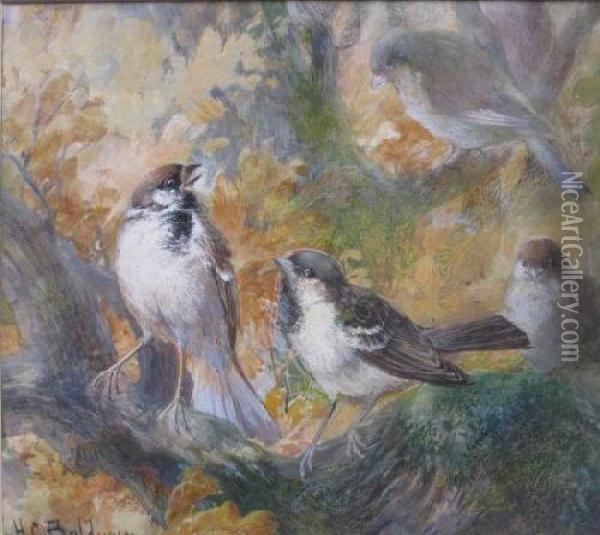 Autumn Tree Sparrows Oil Painting - Charles Henry C. Baldwyn