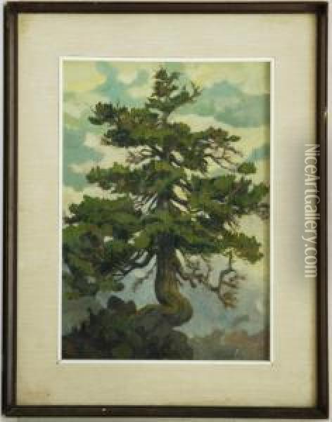 Albero Oil Painting - Franz Wenger