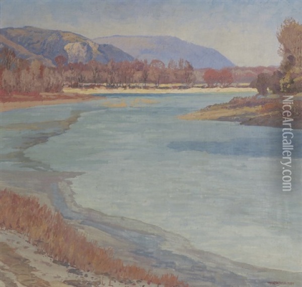 Donauarm In Februarsonne Oil Painting - Max Kahrer