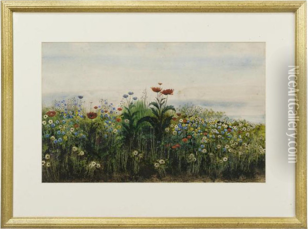 Poppies And Wild Flowers, A Landscape Beyond Oil Painting - Andrew Nicholl