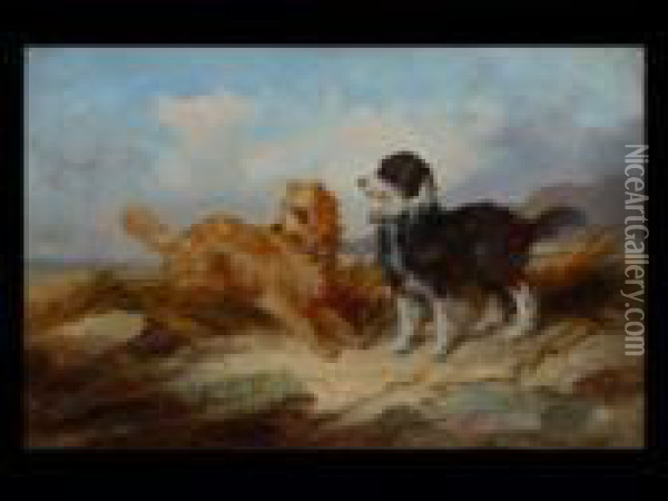 Hunde In Den Dunen Oil Painting - George Armfield