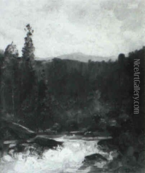 Woodland Stream Oil Painting - Thomas Hill