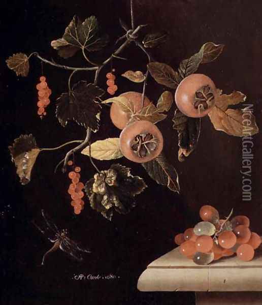 Still Life of Medlars, Redcurrants, Grapes and a Dragonfly, 1686 Oil Painting - Adriaen Coorte