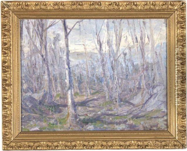 Forest Landscape Oil Painting - Hal Robinson