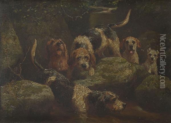 Otterhounds Oil Painting - Alfred Duke
