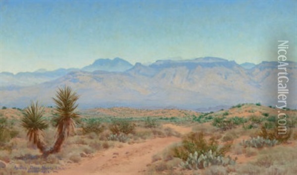 Oracle Arizona Oil Painting - Audley Dean Nicols
