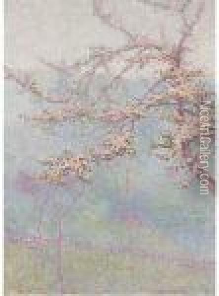 Blossom Oil Painting - Wynford Dewhurst