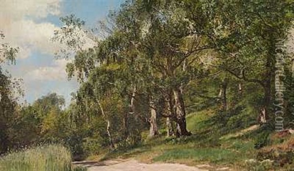Skovparti Med Birketraeer Ved En Grusvej Oil Painting - Janus la Cour