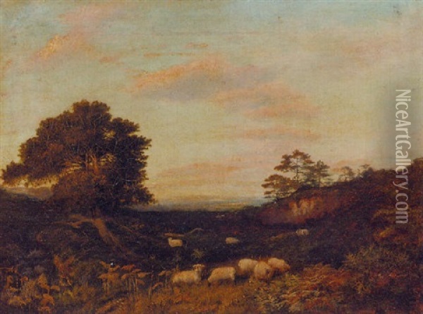 Sheep Grazing In Heathland Oil Painting - Henry Jutsum