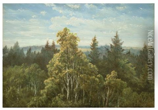 Bewaldeter Abhang Bei Pillnitz Oil Painting - Carl Gustav Carus