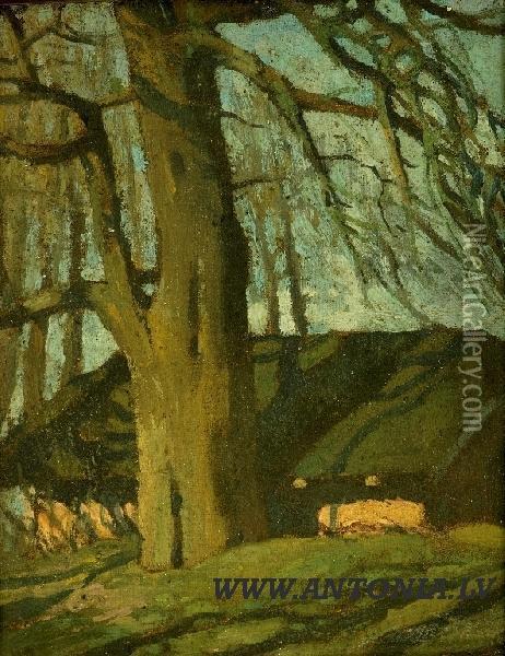 Secular Trees Oil Painting - Eduards Brencens