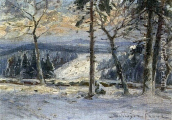 Sonniger Winternachmittag Mit Blick Uber Ein Bewaldetes Tal Oil Painting - Franz Schreyer