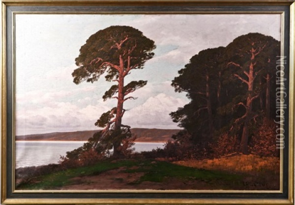 Stimmungsvolle Markische Landschaft Bei Untergehender Sonne Oil Painting - Rudolf Hellgrewe