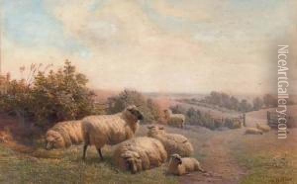 Sheep Resting On A Summer's Day Oil Painting - Henry Birtles