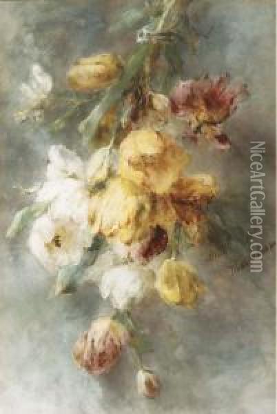 A Swag Of Tulips Oil Painting - Margaretha Roosenboom