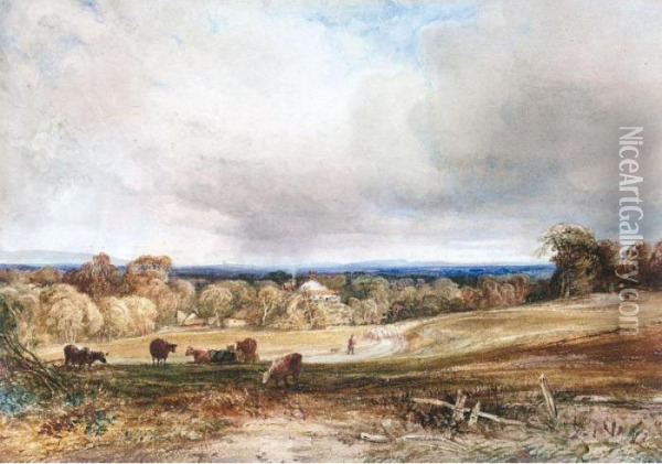 A Shepherd And His Flock On A Country Track, An Extensive View Beyond Oil Painting - Anthony Vandyke Copley Fielding