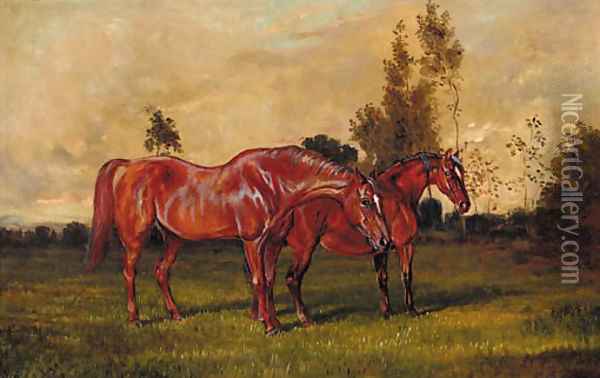 Brood mares in a field Oil Painting - English School