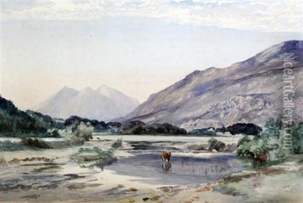 Snowdon From Capel Carig Oil Painting - David Cox