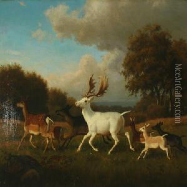 Deers In The Dyrehaven Oil Painting - Carl Henrik Bogh