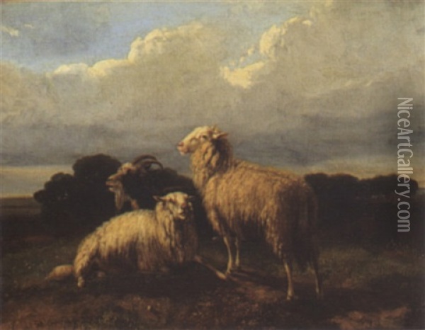 Sheep Oil Painting - Dirk Van Lokhorst