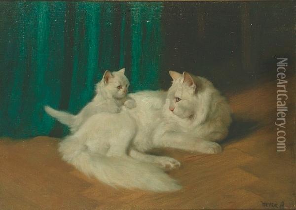 A Cat And Kitten In An Interior Oil Painting - Arthur Heyer
