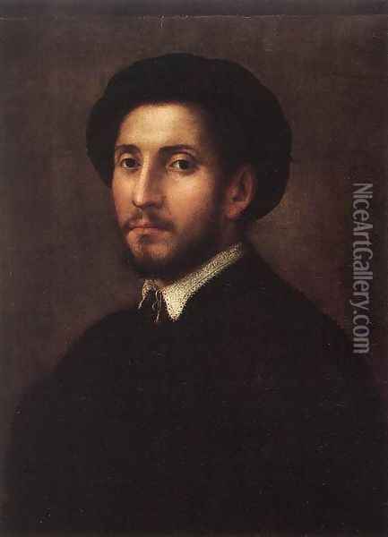 Portrait of a Man 1530s Oil Painting - Pier Francesco Di Jacopo Foschi