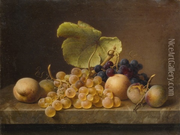 Still Life With Grapes Oil Painting - Johann Wilhelm Preyer