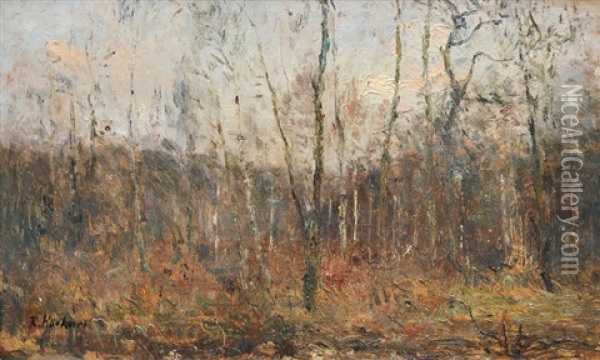 Wood In Early Spring Oil Painting - Rudolf Hoeckner