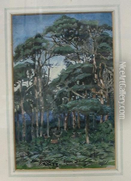 Scotch Firs Oil Painting - Alfred Horsley Hinton